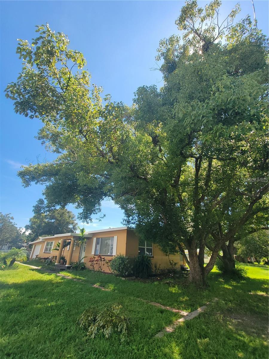 5230 11th, Gulfport, FL 33707
