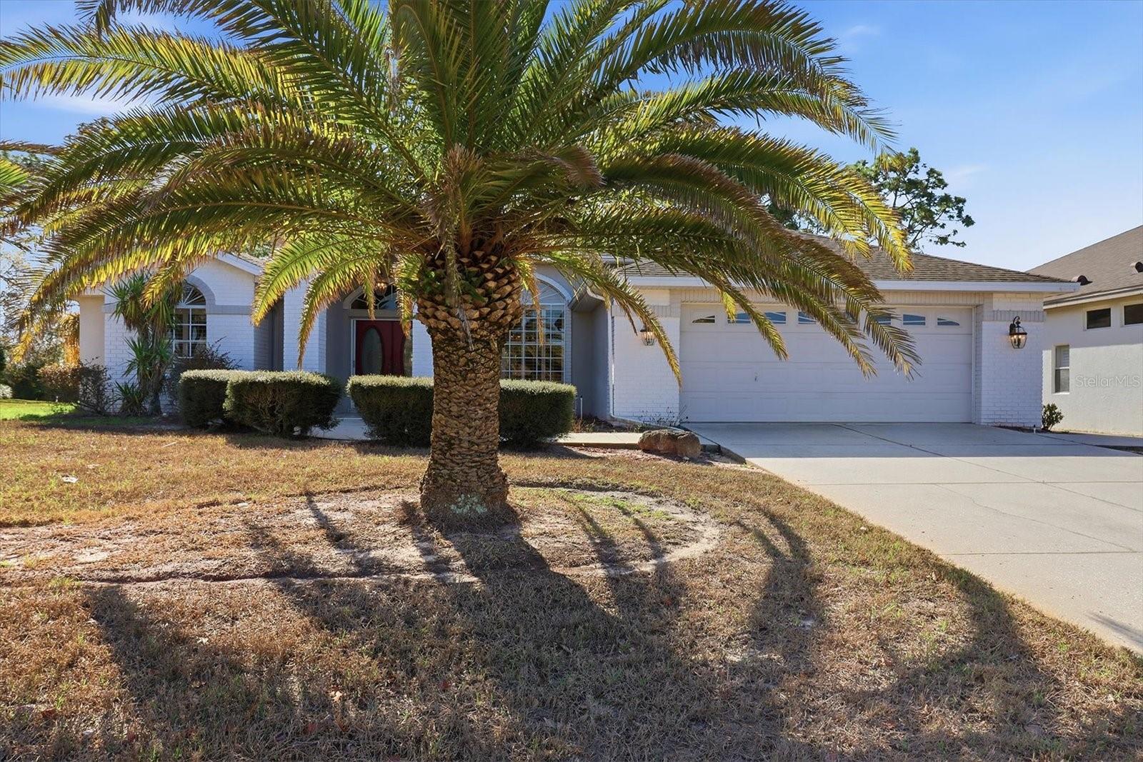9240 Butler, Weeki Wachee, FL 34613