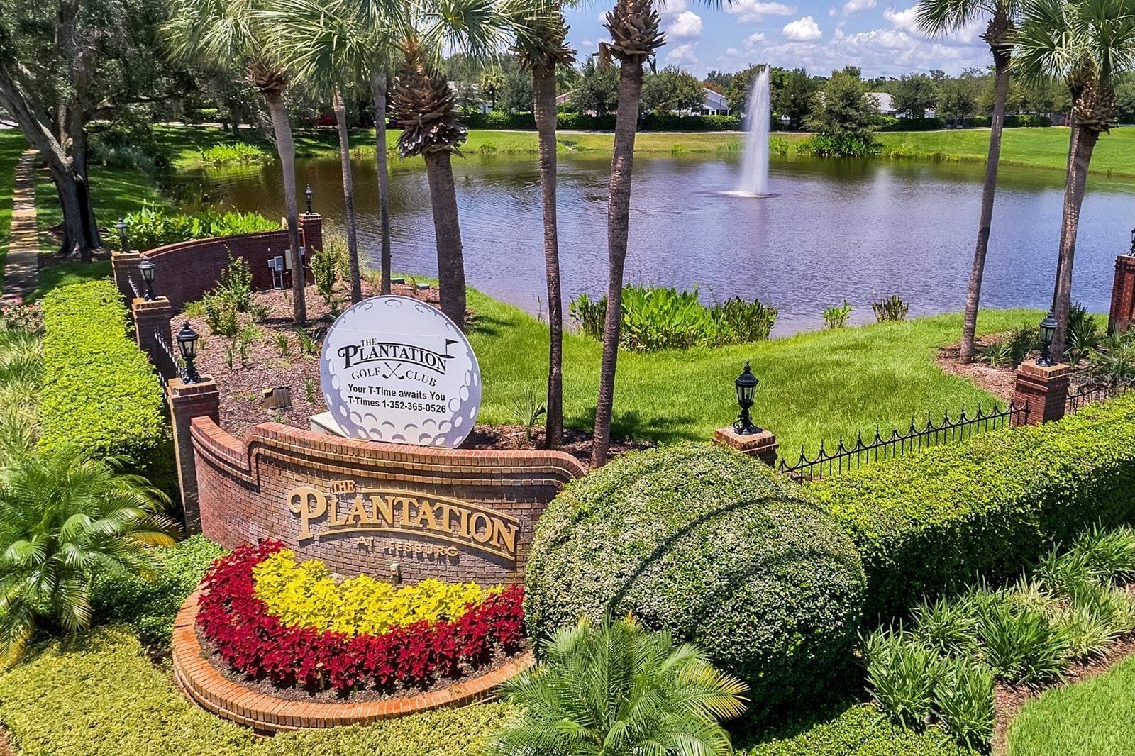 25312 Green Heron, Leesburg, FL 34748
