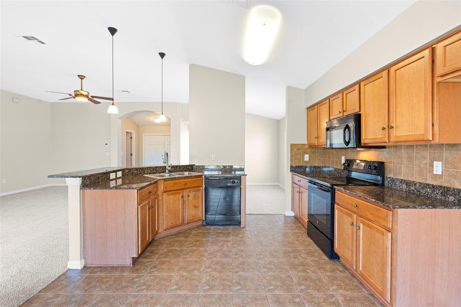 29232 Coharie, San Antonio, FL 33576