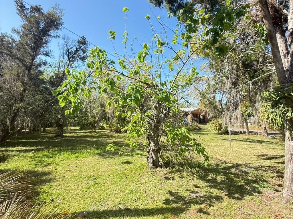 4858 Troydale, Tampa, FL 33615