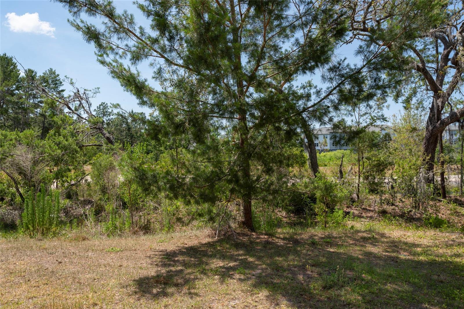 11704 Castine, New Port Richey, FL 34654