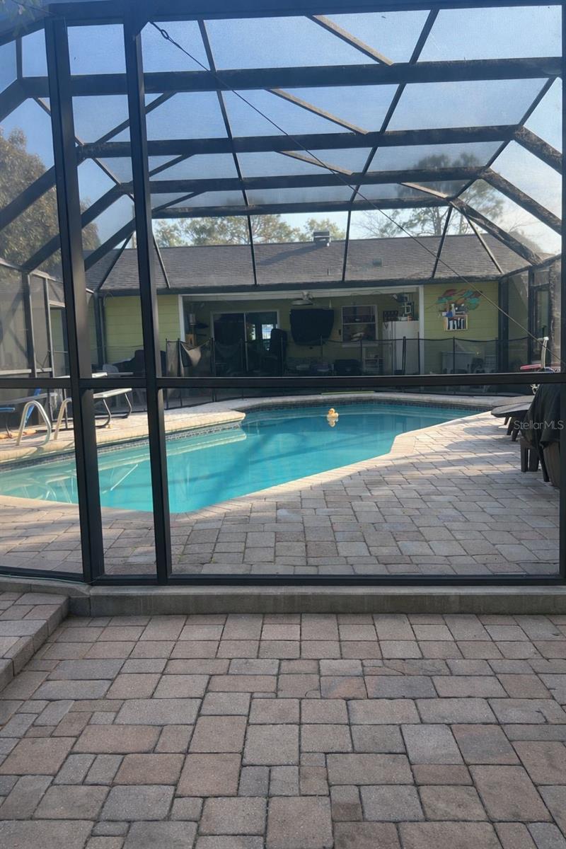 4912 Serena, Tampa, FL 33617