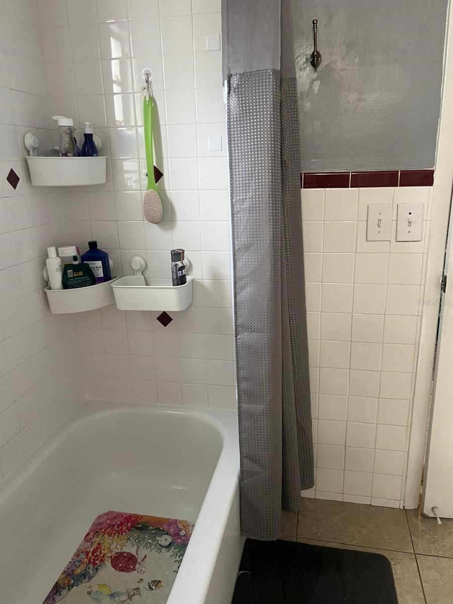 4912 Serena, Tampa, FL 33617