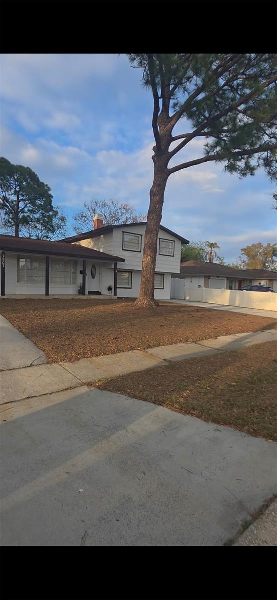 7907 Hiawatha, Tampa, FL 33615