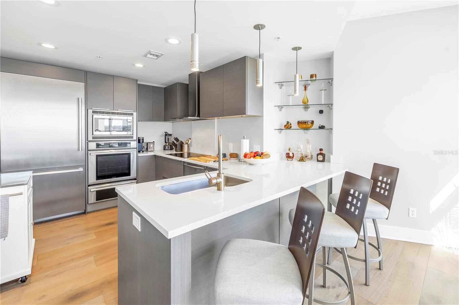 175 1st Unit 1006, St Petersburg, FL 33701