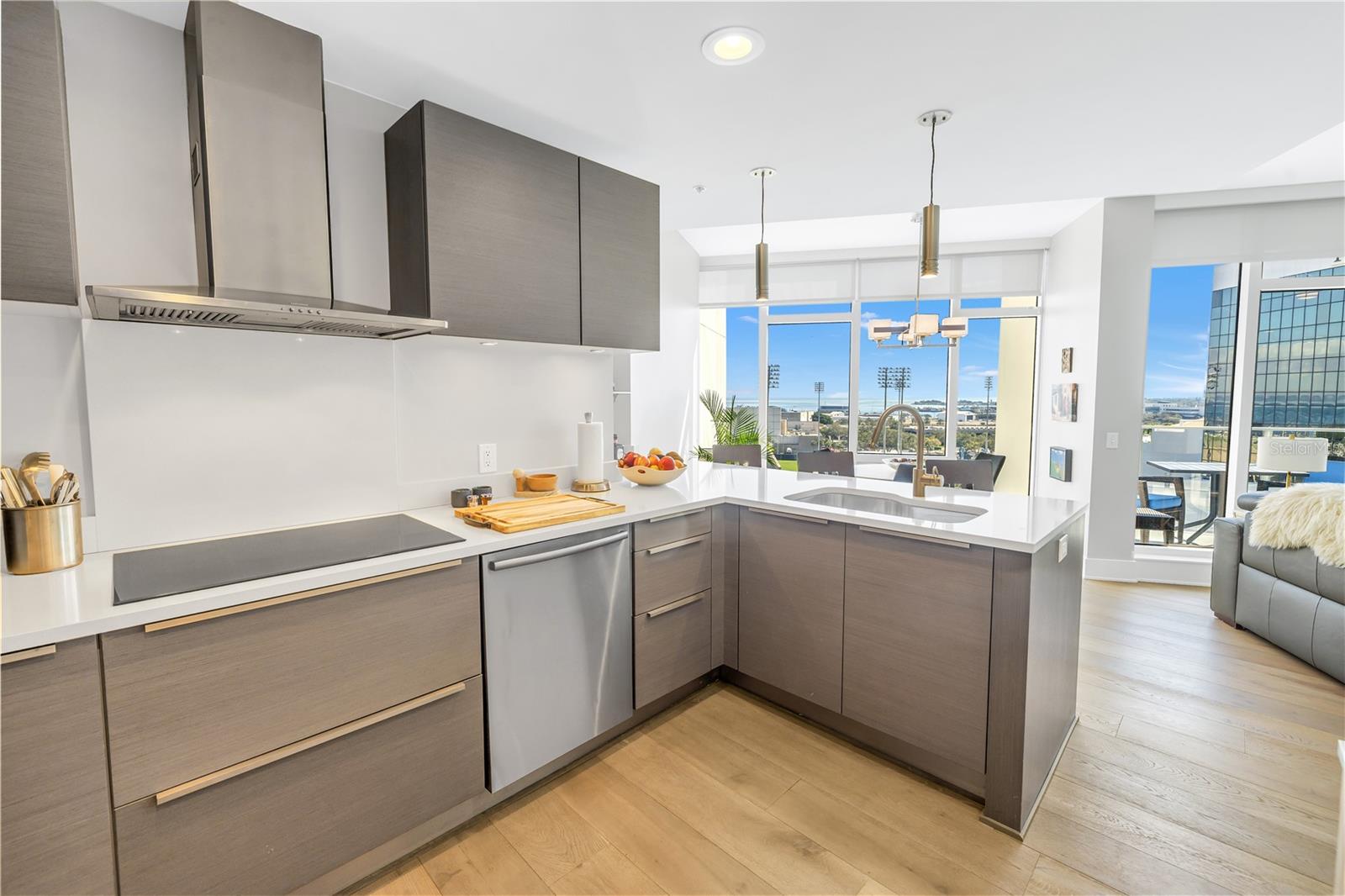 175 1st Unit 1006, St Petersburg, FL 33701
