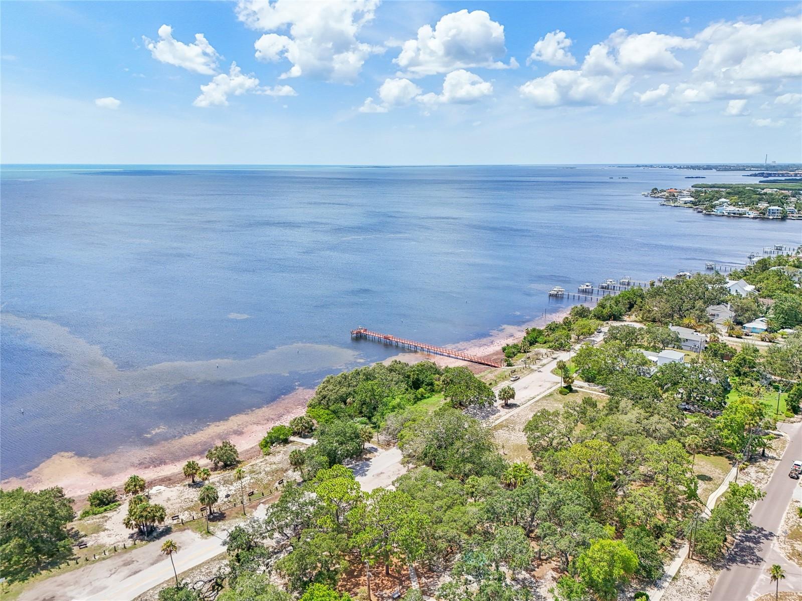 131 Pennsylvania, Palm Harbor, FL 34683