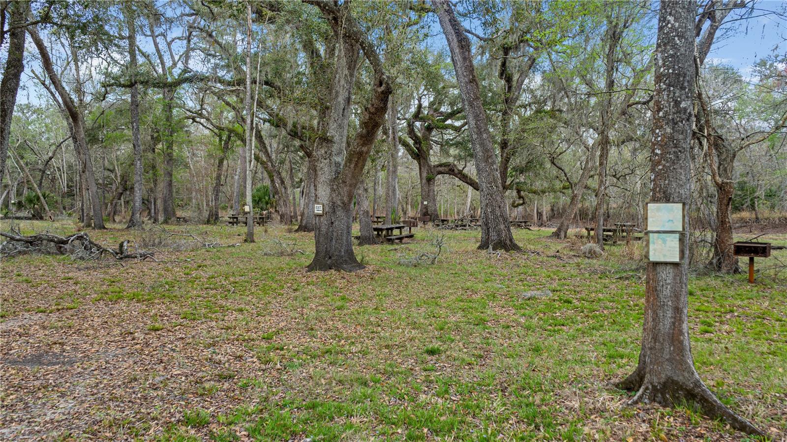 2878 340, Branford, FL 32008