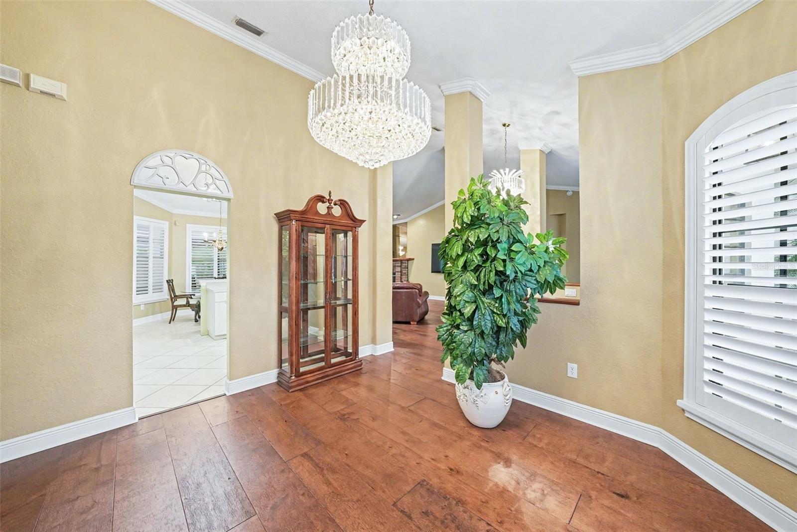 19216 Ridgelake, Lutz, FL 33549
