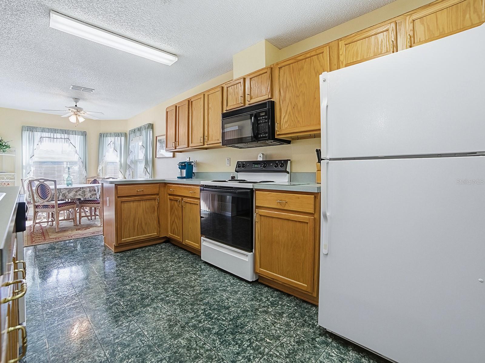 32914 Crooked Oaks, Leesburg, FL 34748