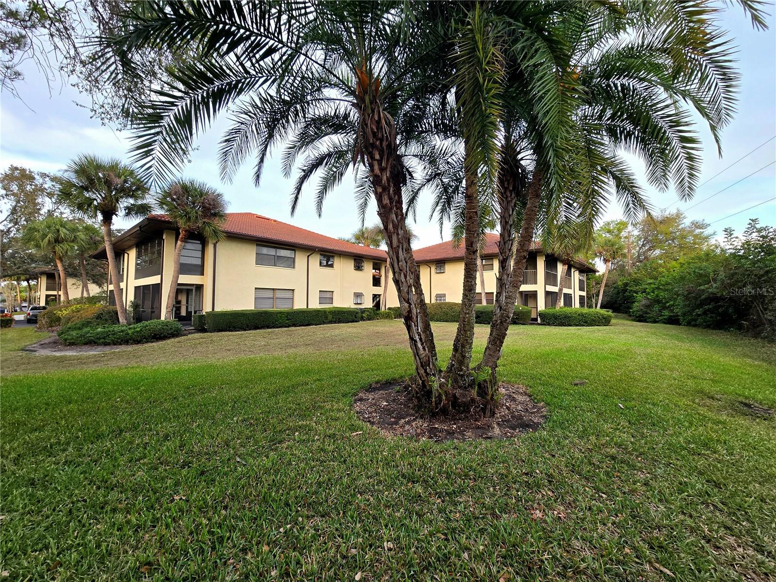 2009 Hammock Pine Unit 2009, Clearwater, FL 33761