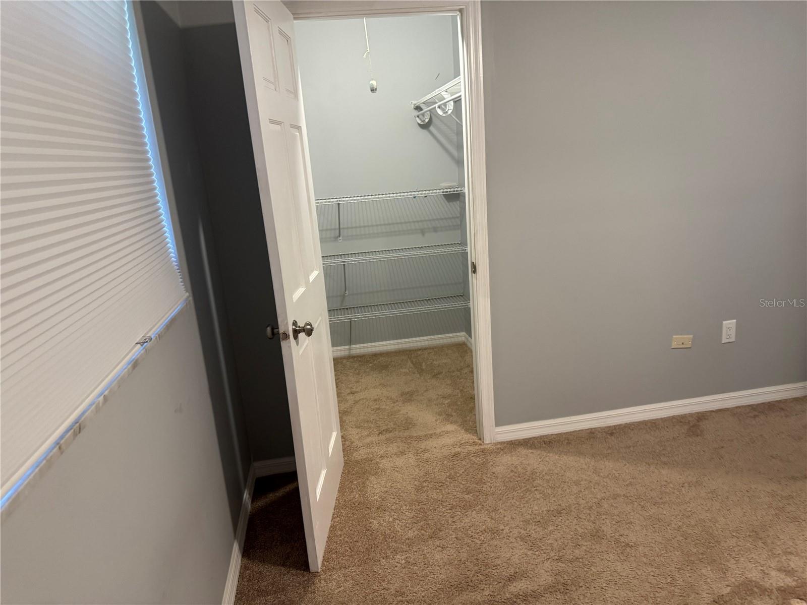 852 Oxford, Dunedin, FL 34698