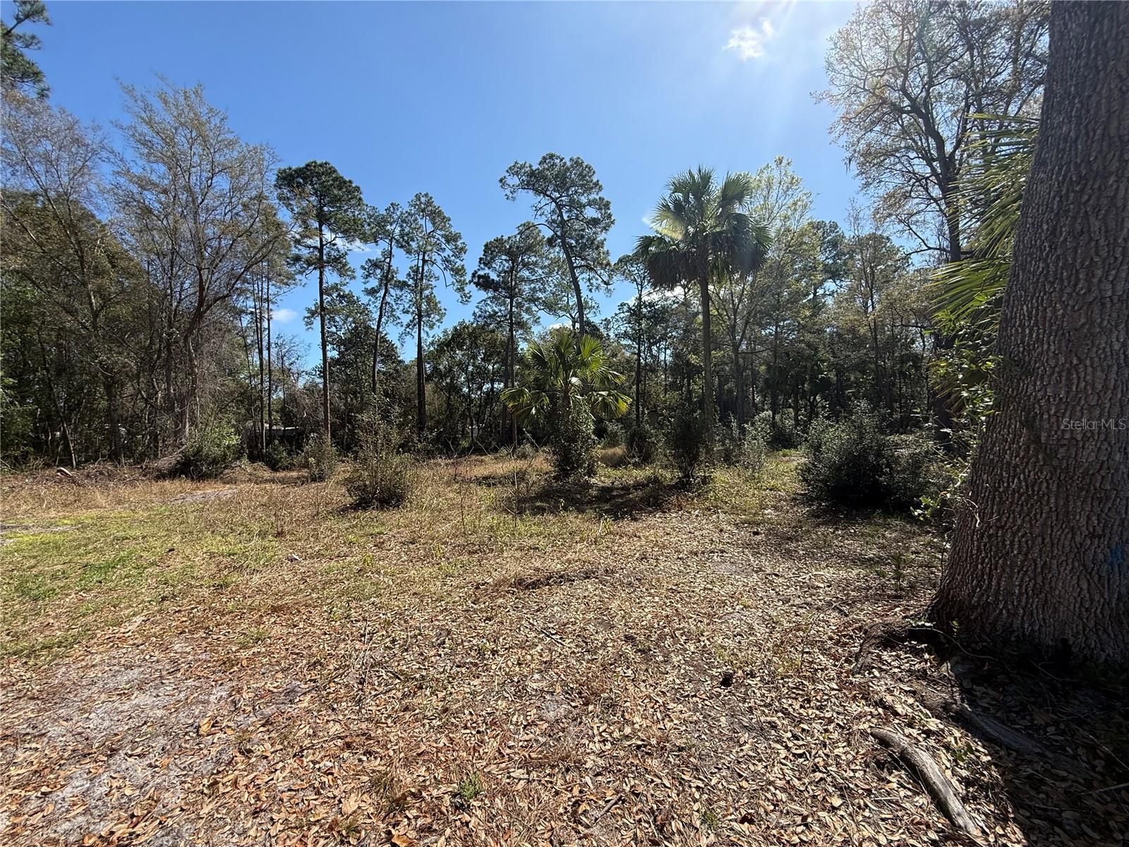 tbd Pennsylvania, Paisley, FL 32767