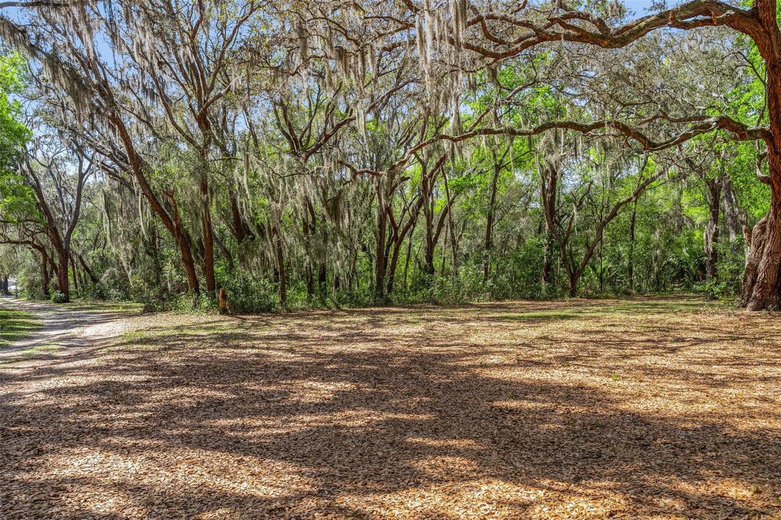 2917 Lake Griffin, Lady Lake, FL 32159