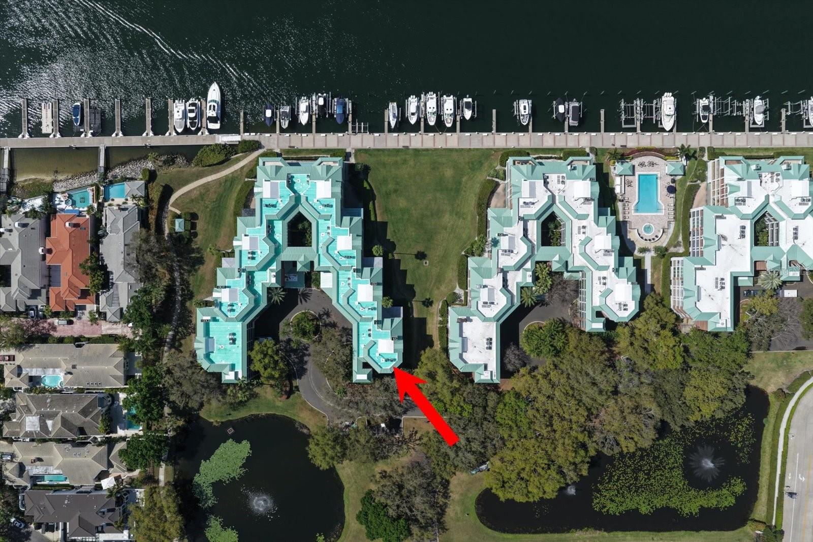 947 Seddon Cove Unit 947, Tampa, FL 33602