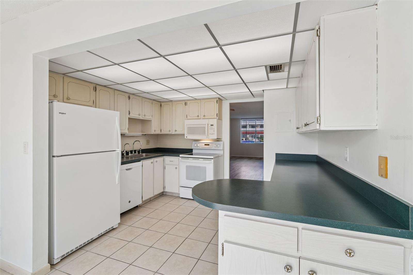 5095 Bay Unit 110, St Petersburg, FL 33703