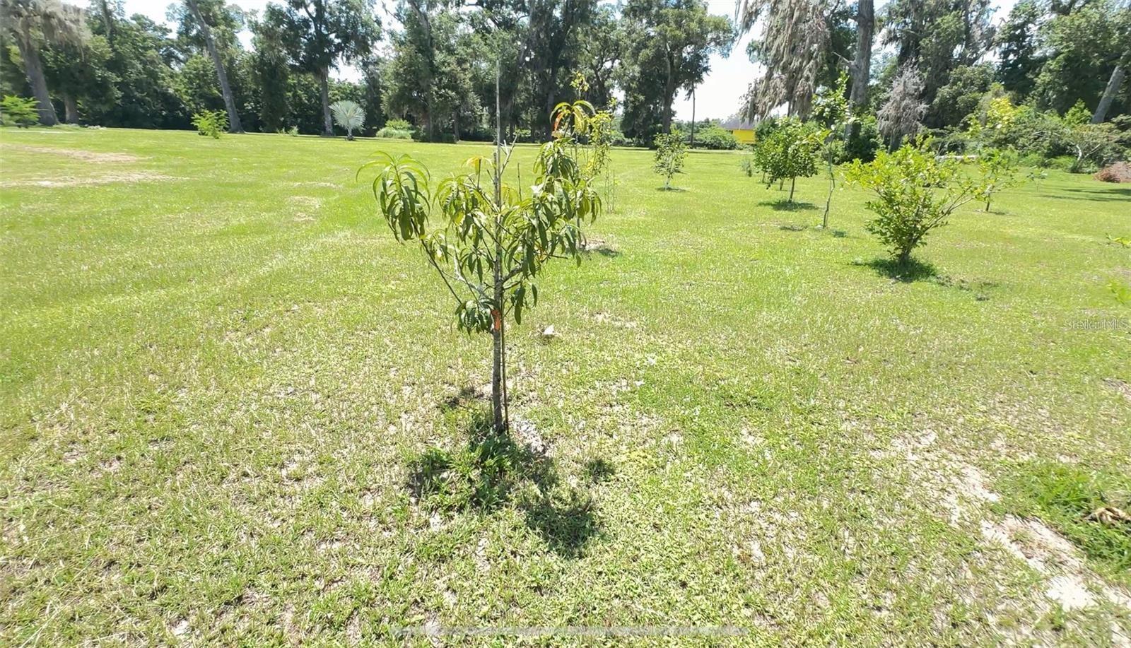 4925 Us Highway 441, Ocala, FL 34475