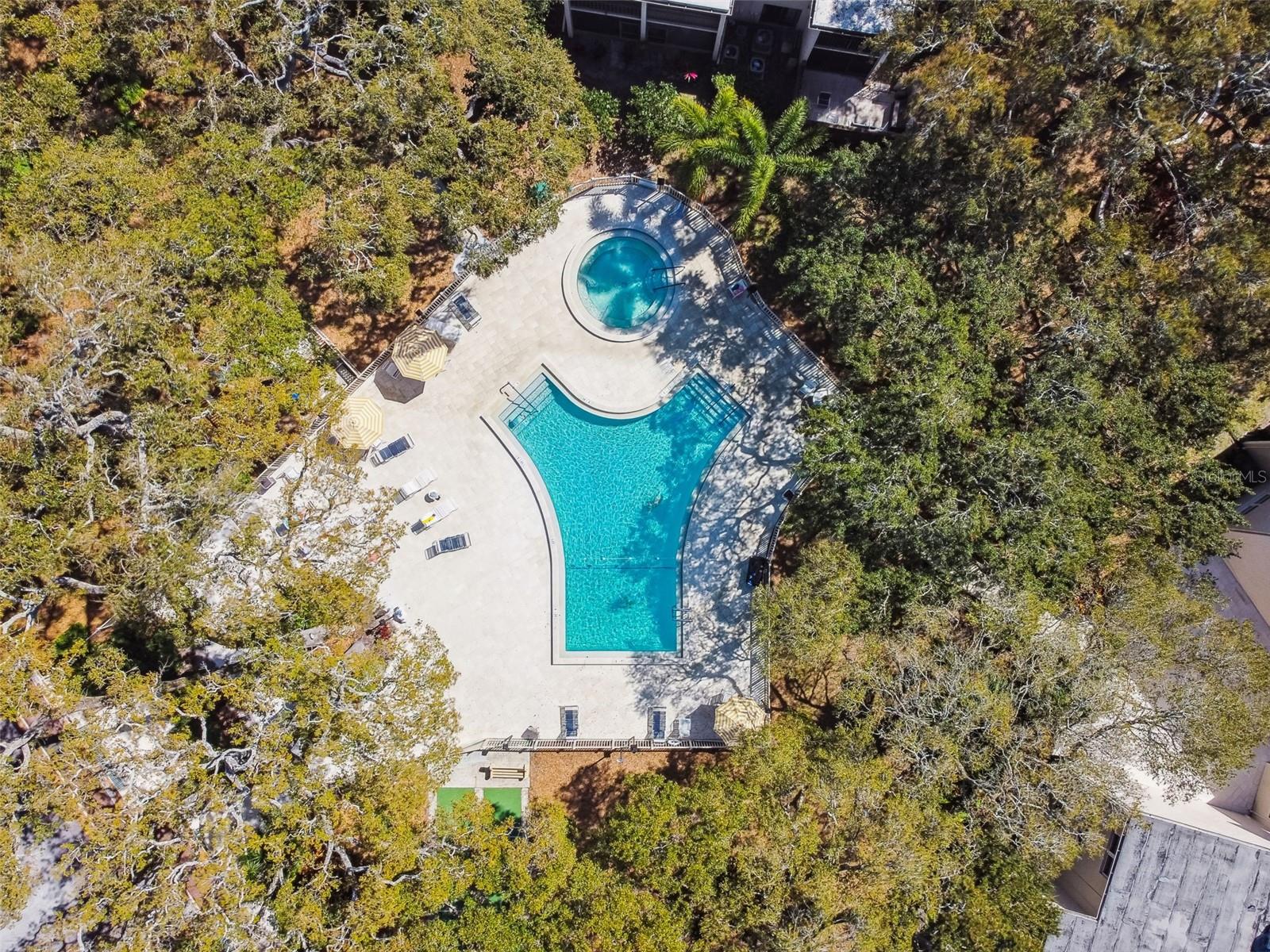 865 Virginia Unit 108, Dunedin, FL 34698