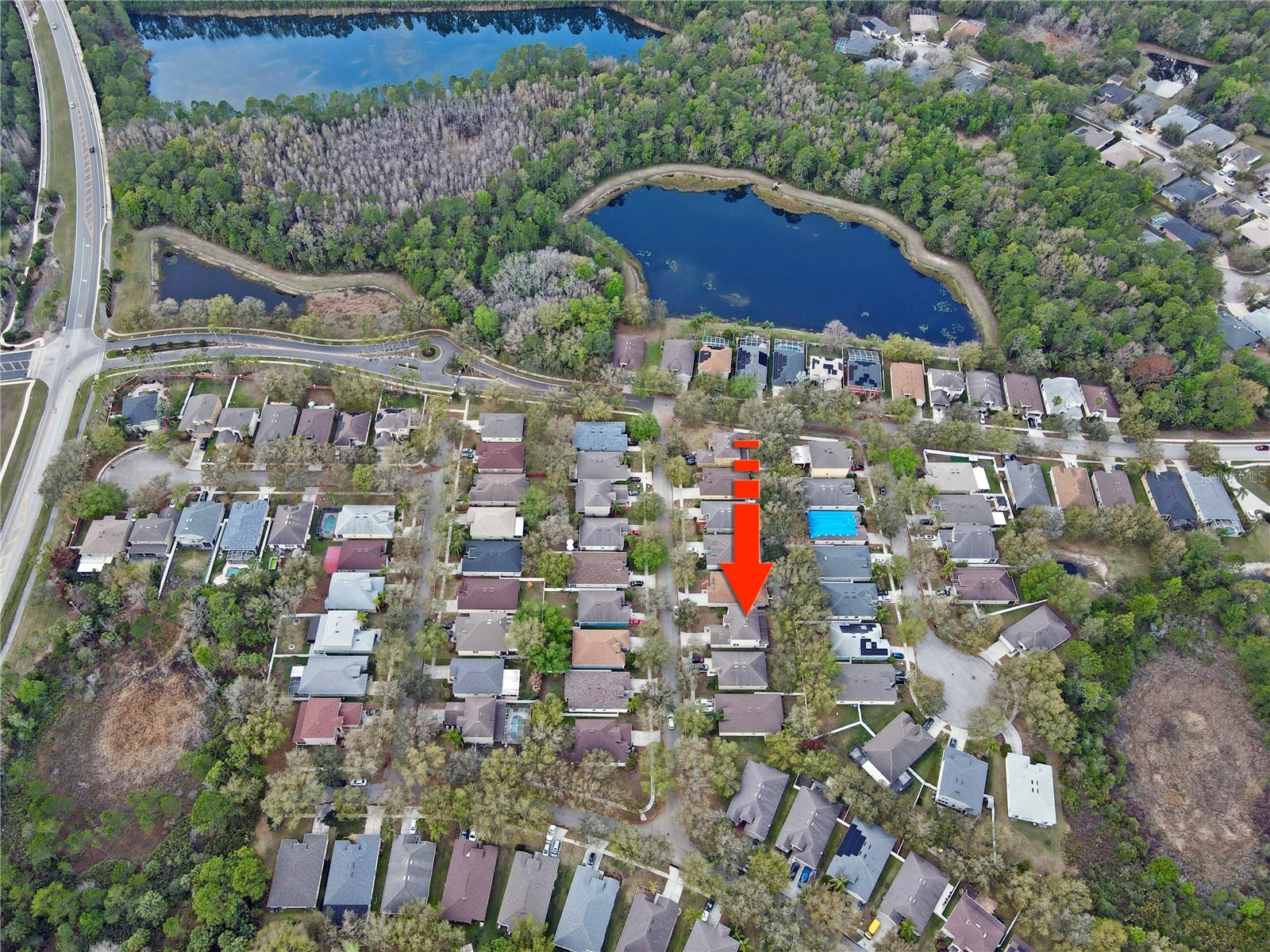 8212 Cypress Breeze, Tampa, FL 33647