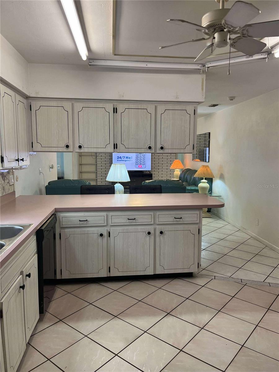 608 Knowles, Brandon, FL 33511