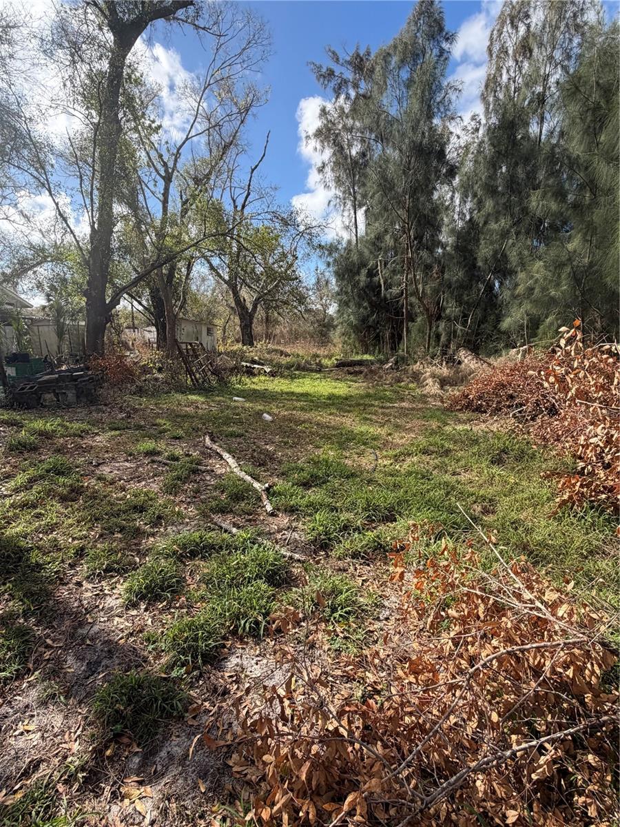 1211 Eucalyptus, Arcadia, FL 34266