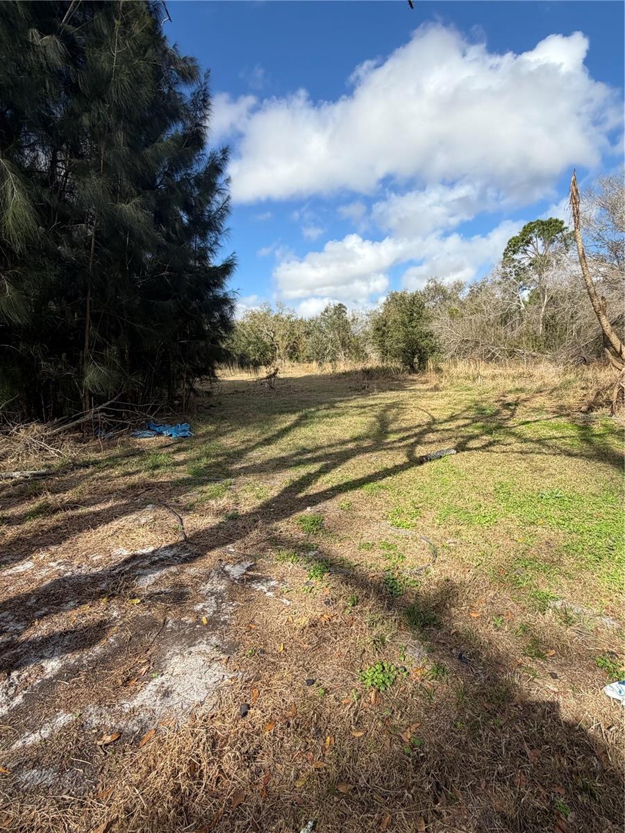 1211 Eucalyptus, Arcadia, FL 34266