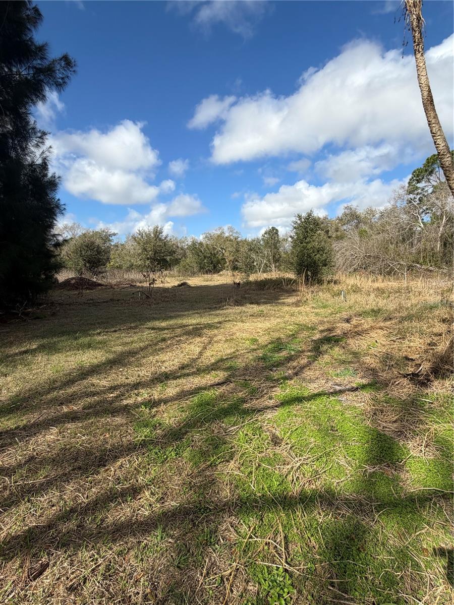 1211 Eucalyptus, Arcadia, FL 34266