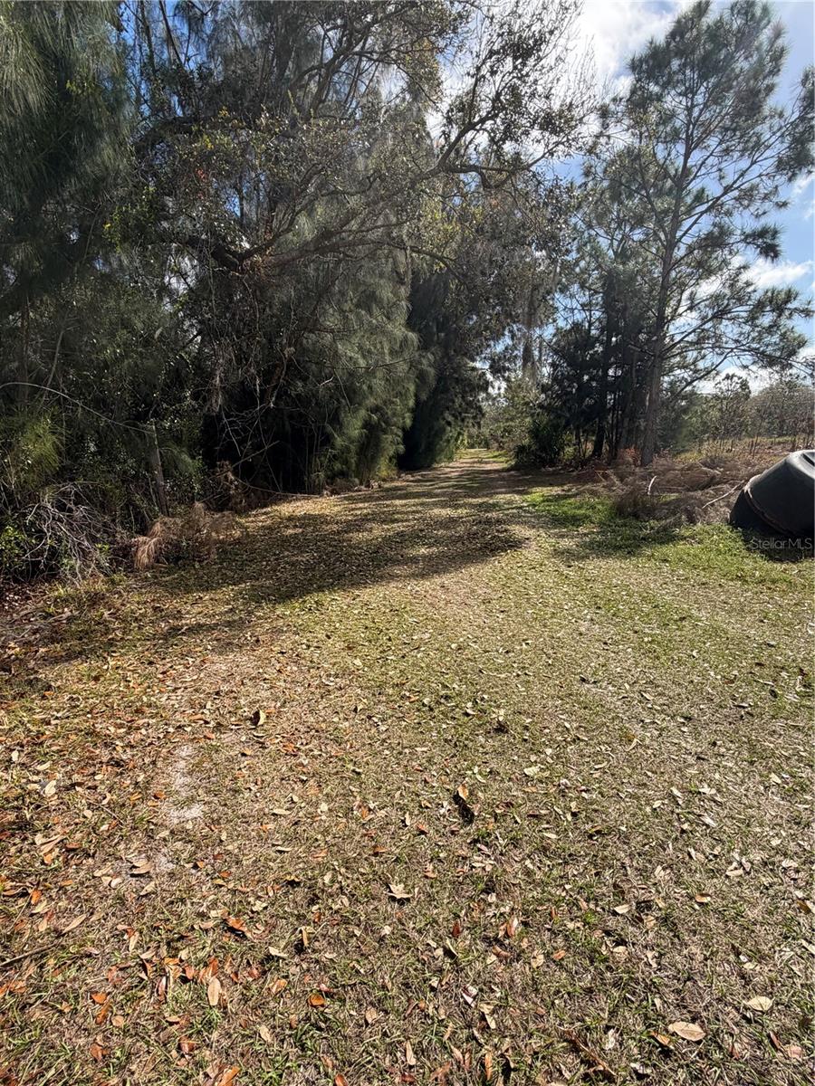 1211 Eucalyptus, Arcadia, FL 34266