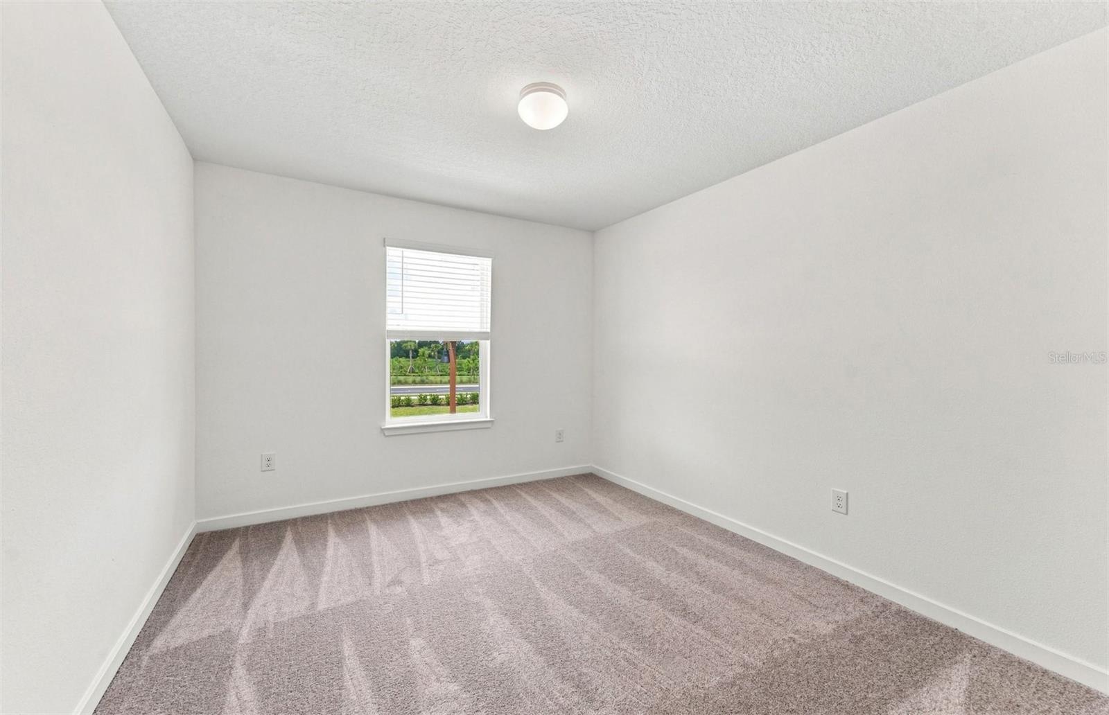 9877 Trellis Vine, Parrish, FL 34219