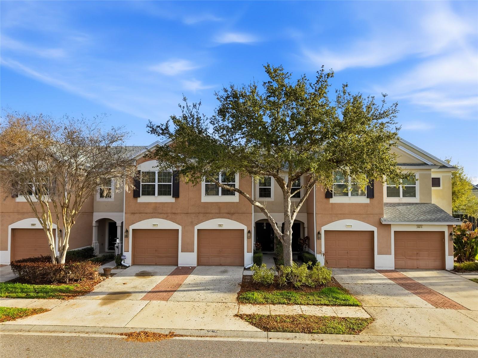 26611 Chimney Spire, Wesley Chapel, FL 33544