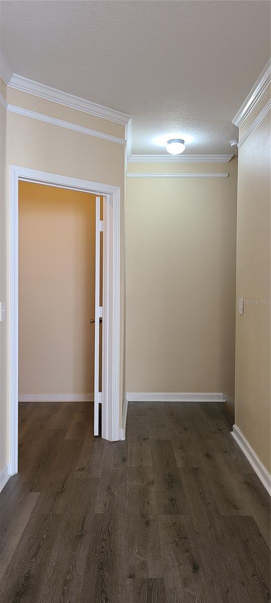 17902 Villa Creek Unit 17902, Tampa, FL 33647