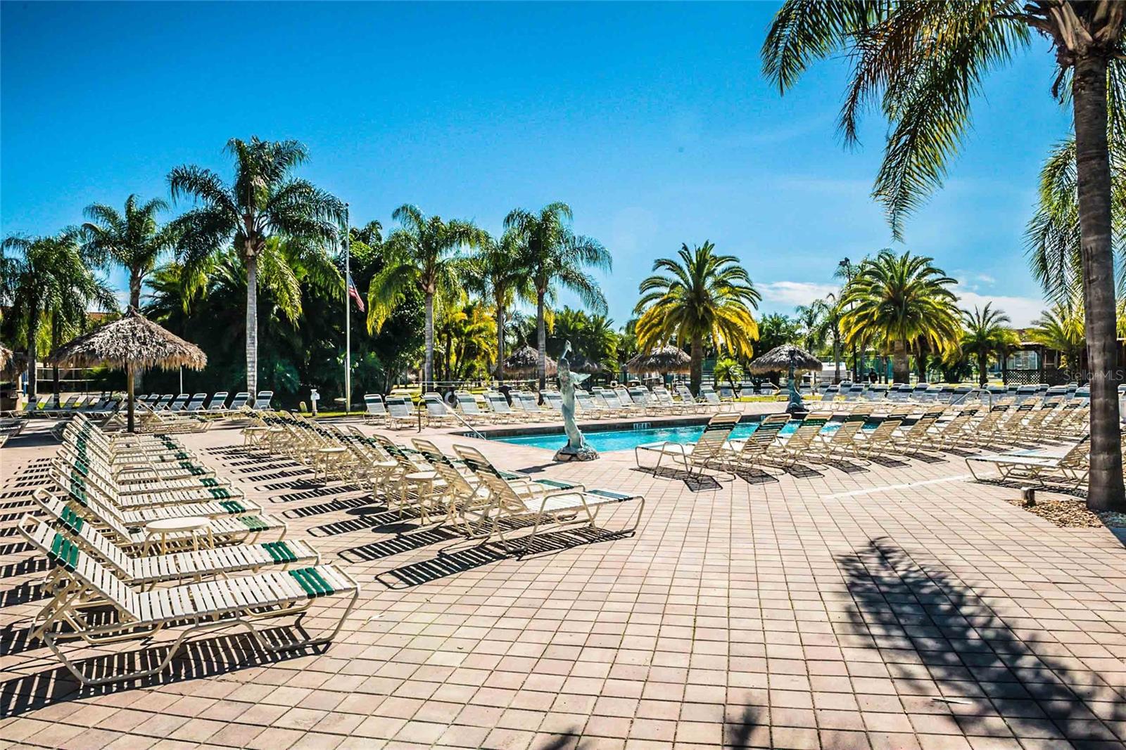 6816 Dali Unit 201, Land O Lakes, FL 34637