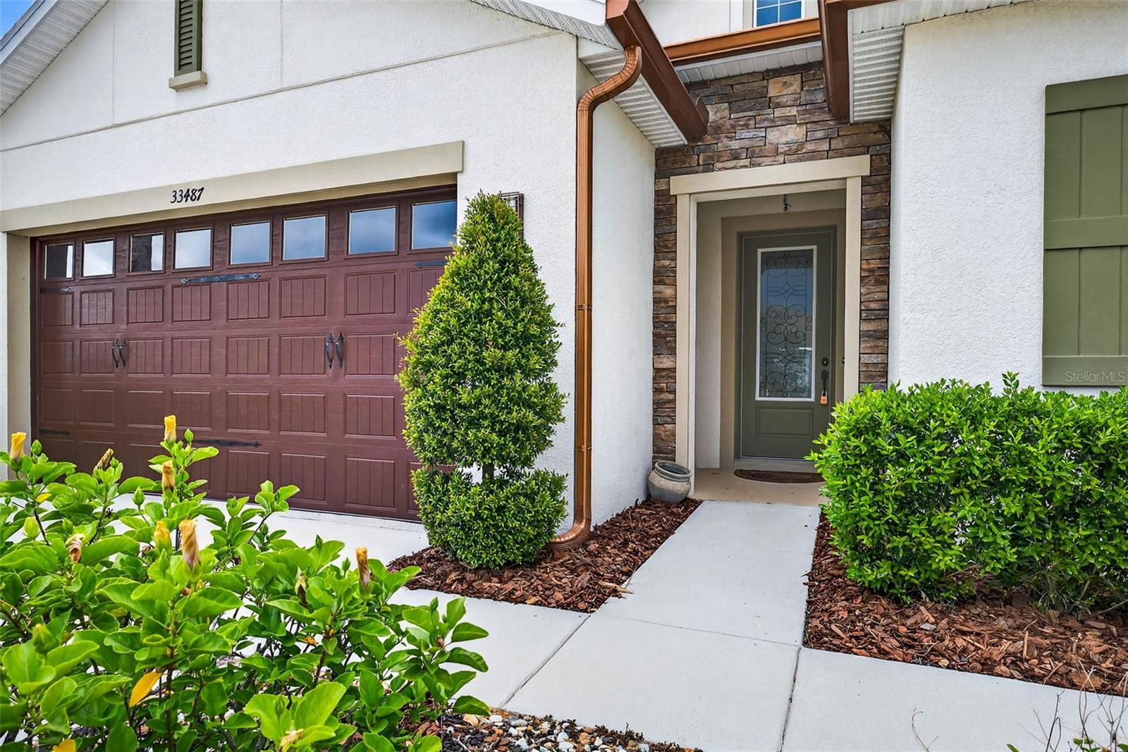 33487 Azalea Ridge, Wesley Chapel, FL 33545