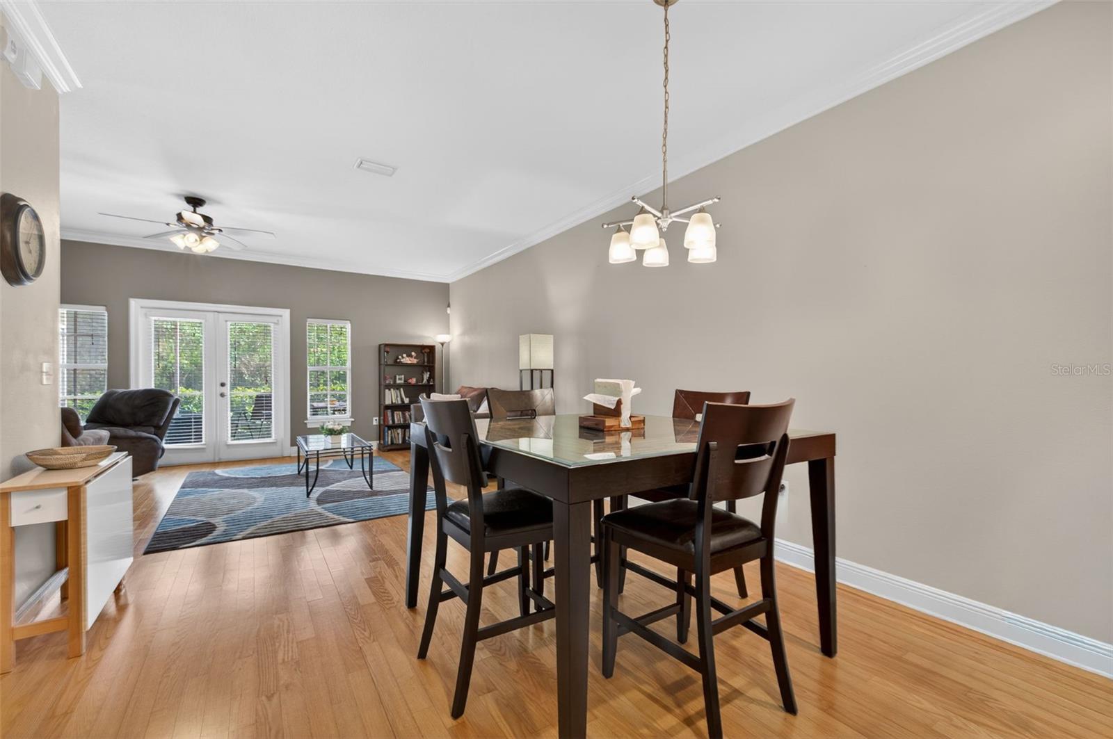 184 Valencia, St Petersburg, FL 33716