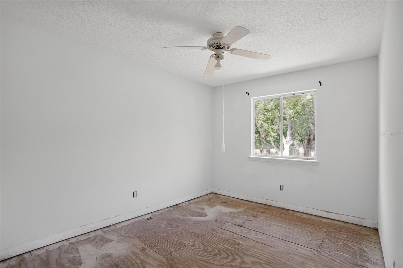 902 Lingo, Oviedo, FL 32765