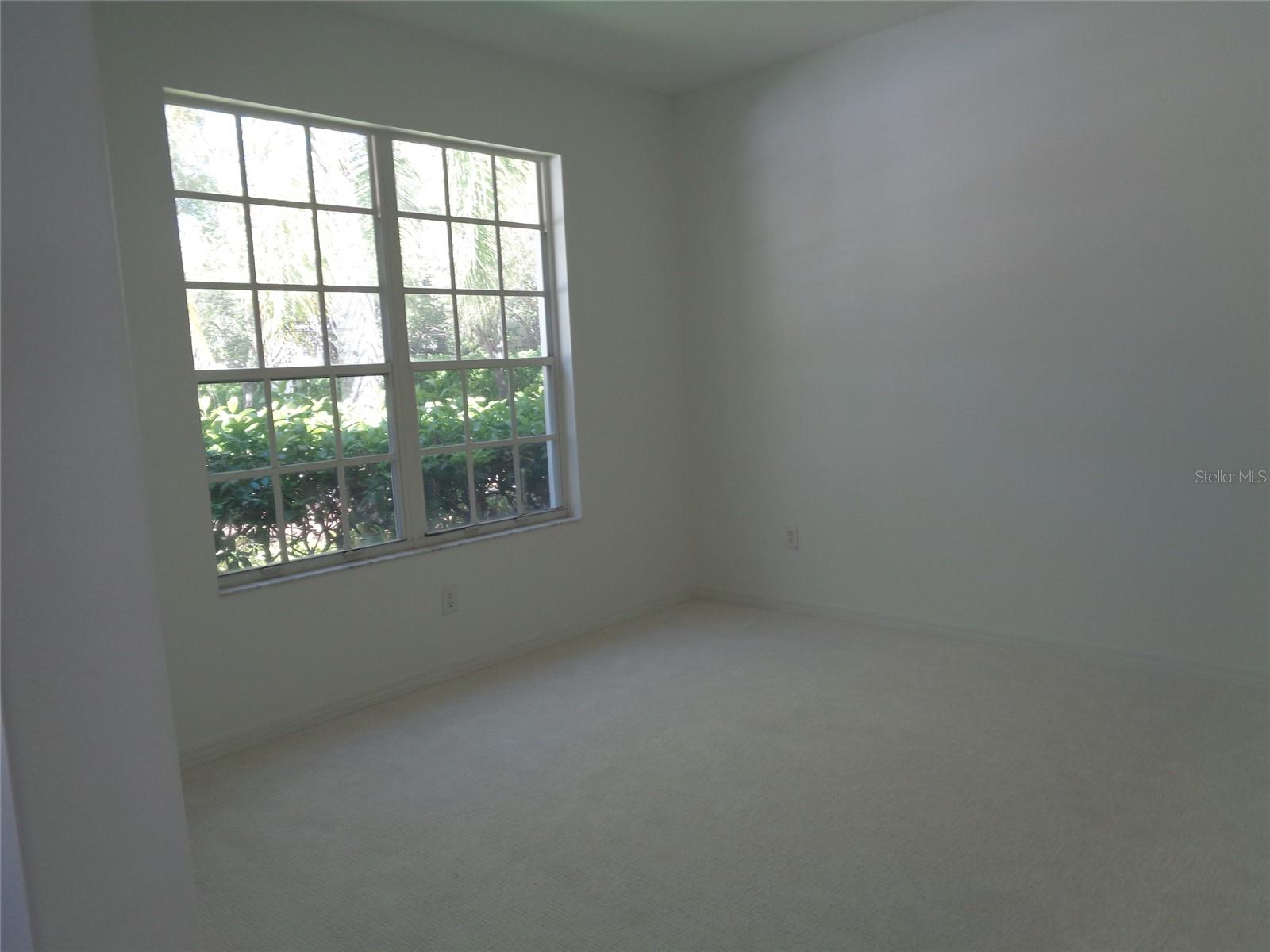 6102 Savoy, Lutz, FL 33558
