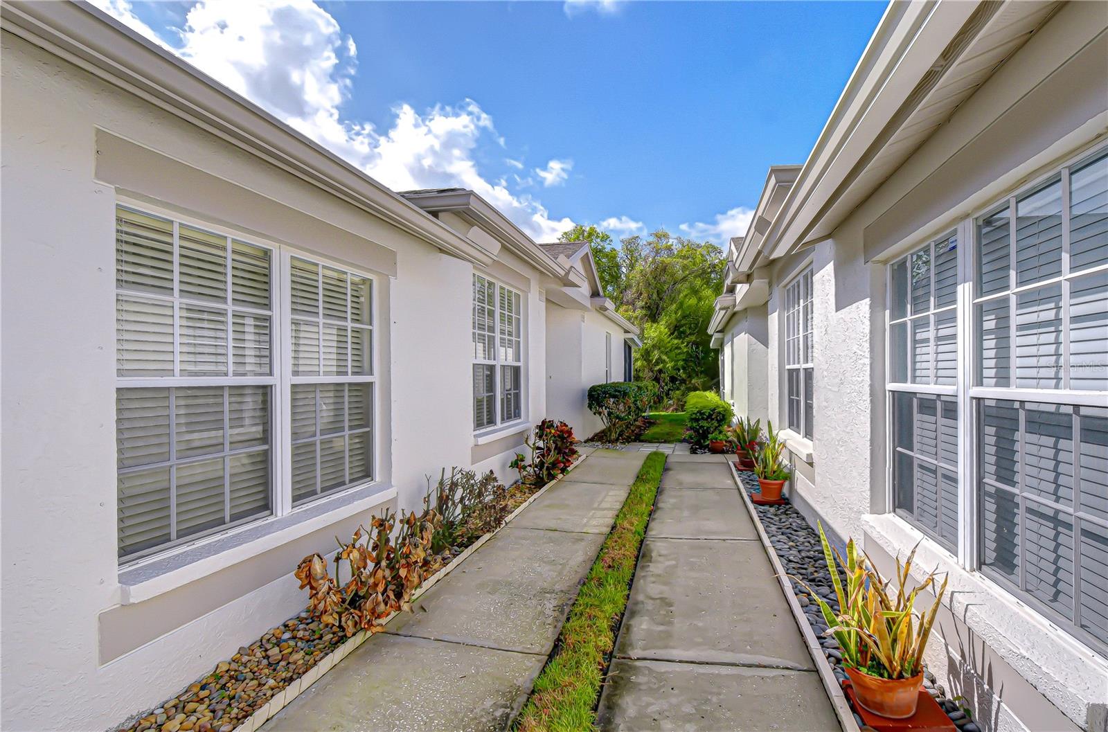 1832 Sassafras, Wesley Chapel, FL 33543
