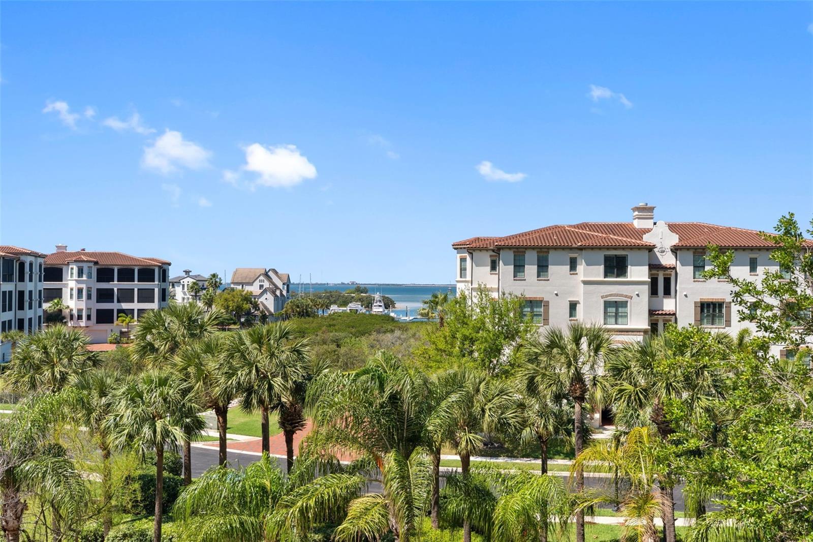 5823 Bowen Daniel Unit 401, Tampa, FL 33616
