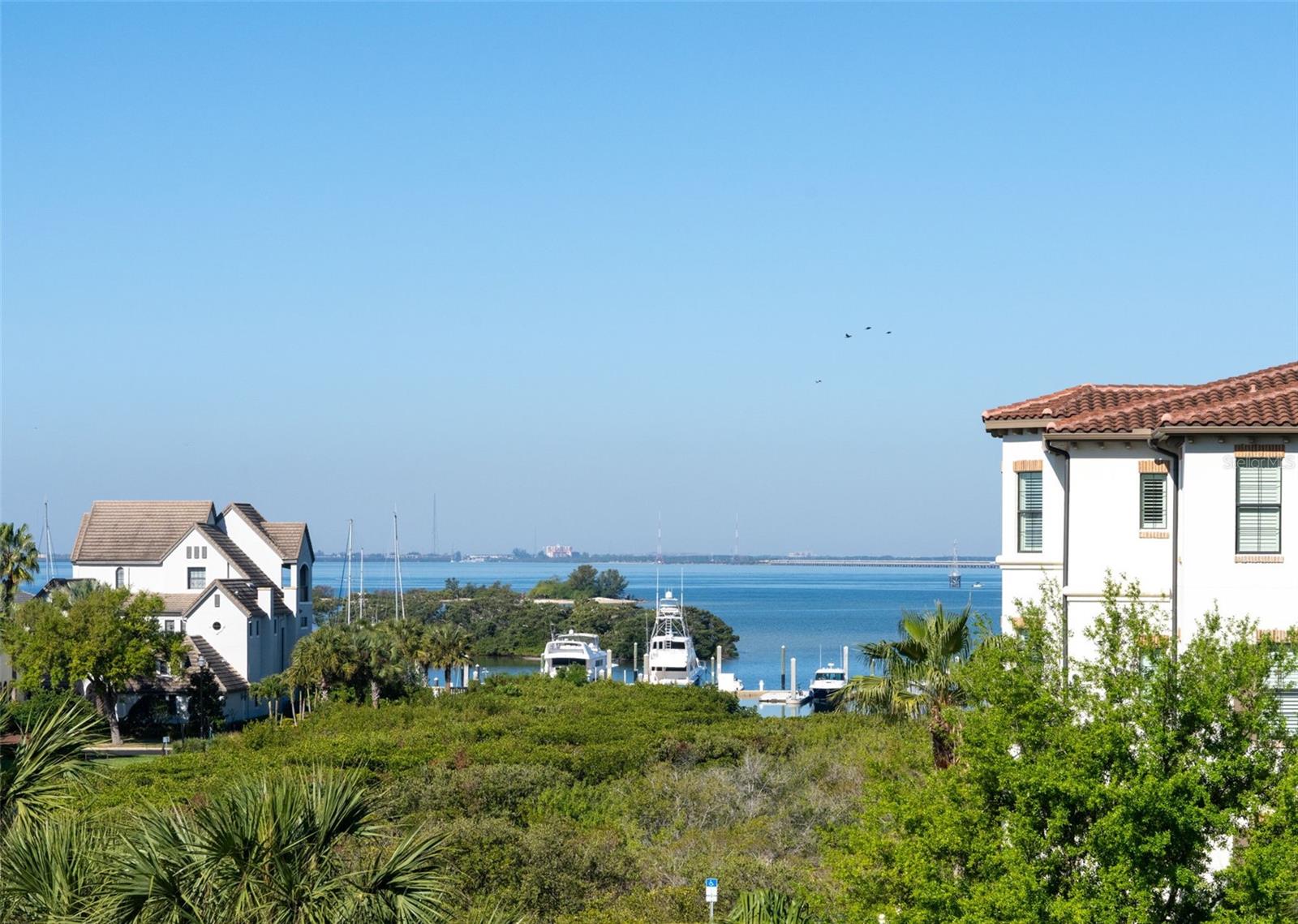 5823 Bowen Daniel Unit 401, Tampa, FL 33616