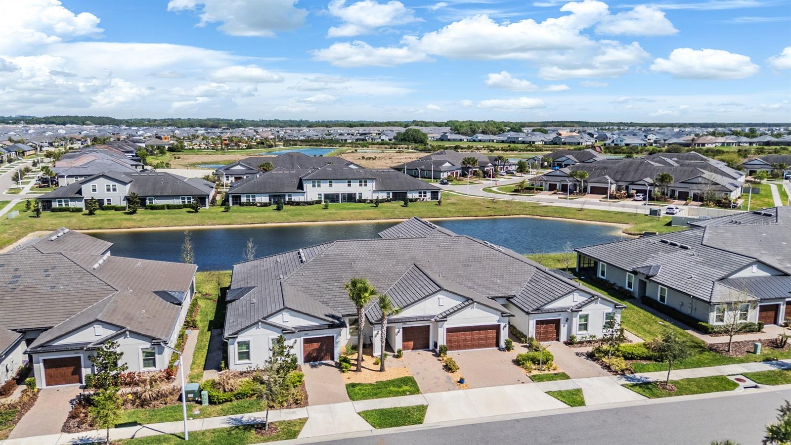 10191 Echo Dock, San Antonio, FL 33576