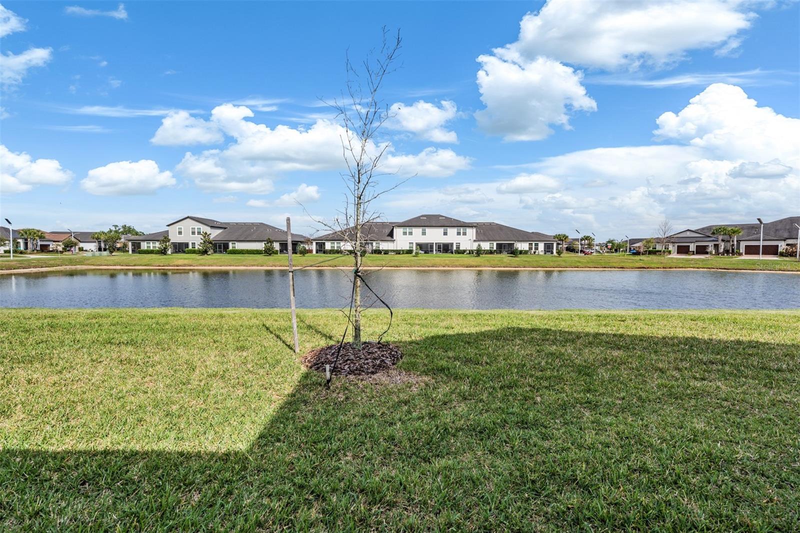 10191 Echo Dock, San Antonio, FL 33576