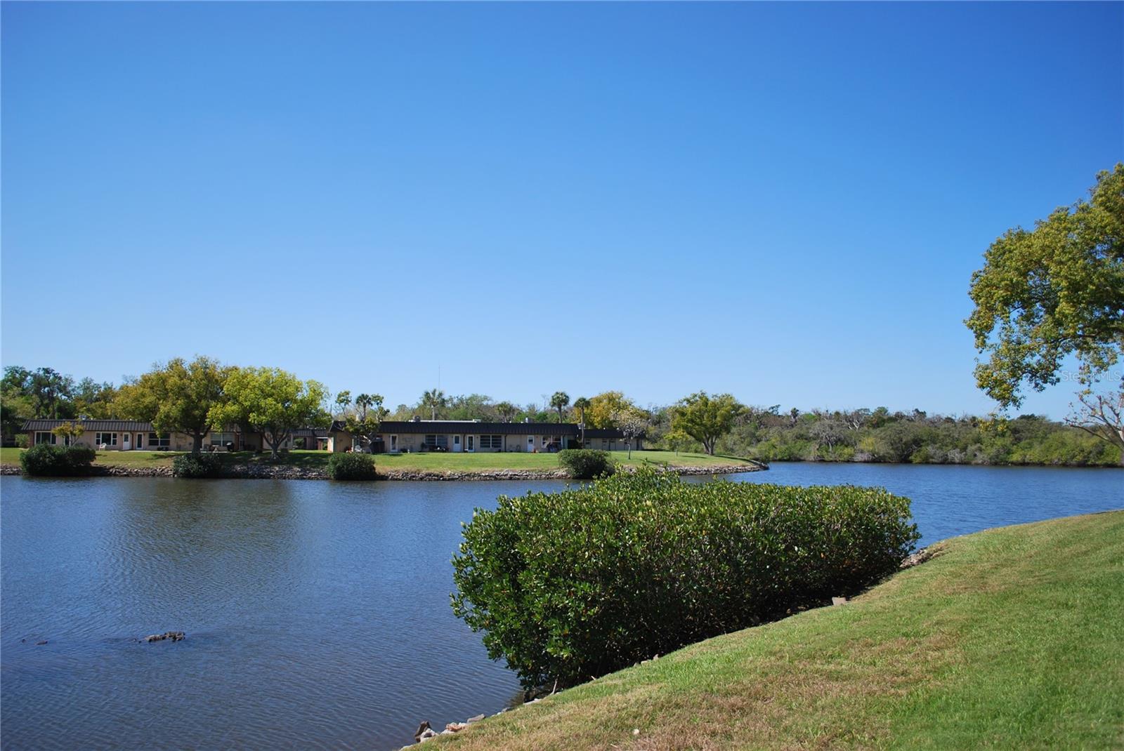 4136 Stratford, New Port Richey, FL 34652