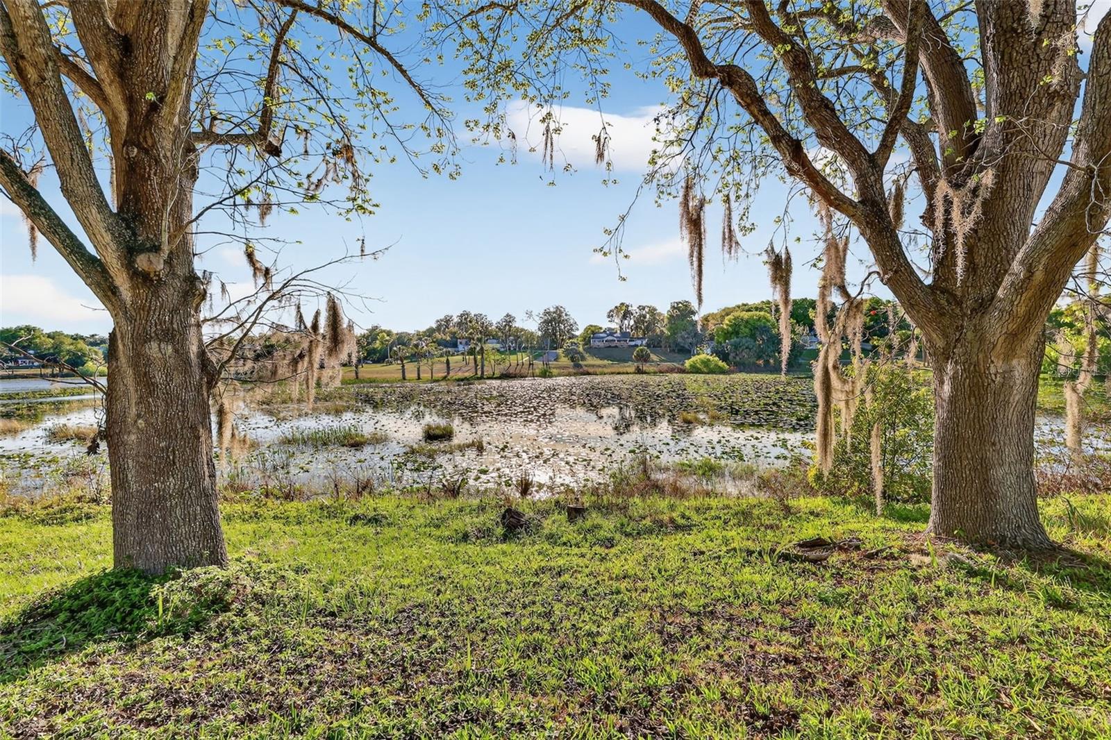 1039 Lake Gracie, Eustis, FL 32726