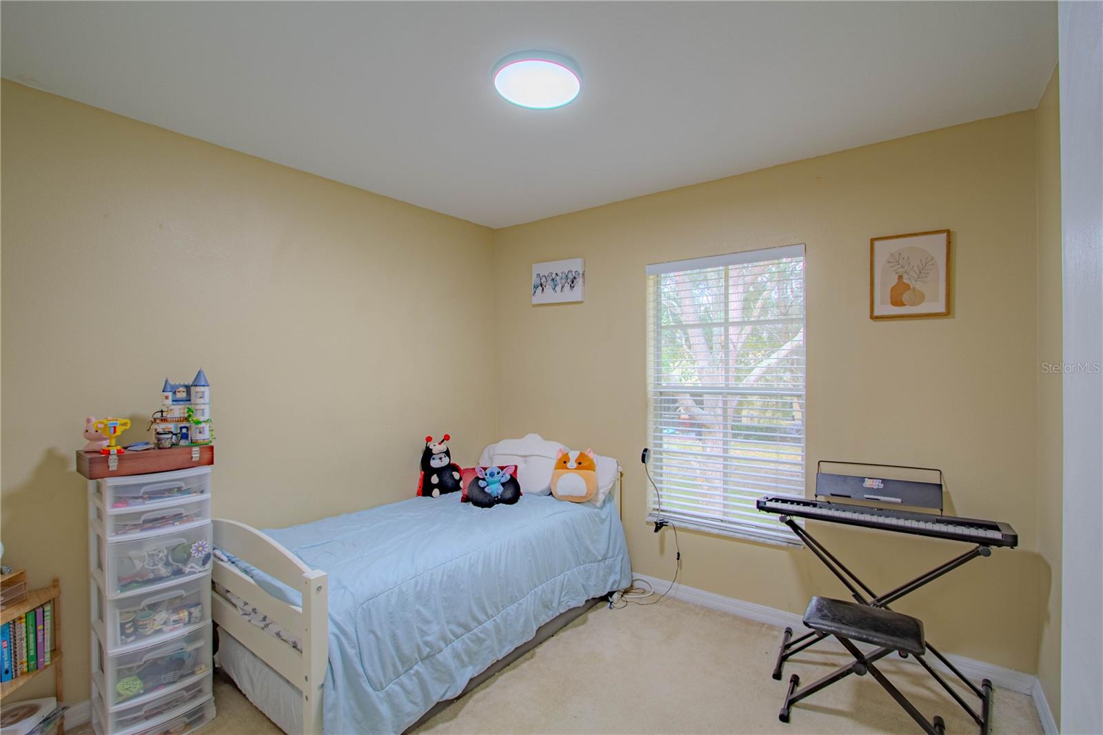 10917 Brickside, Riverview, FL 33579