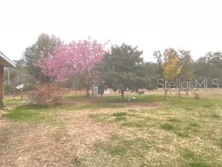 32420 County Road 473, Leesburg, FL 34788