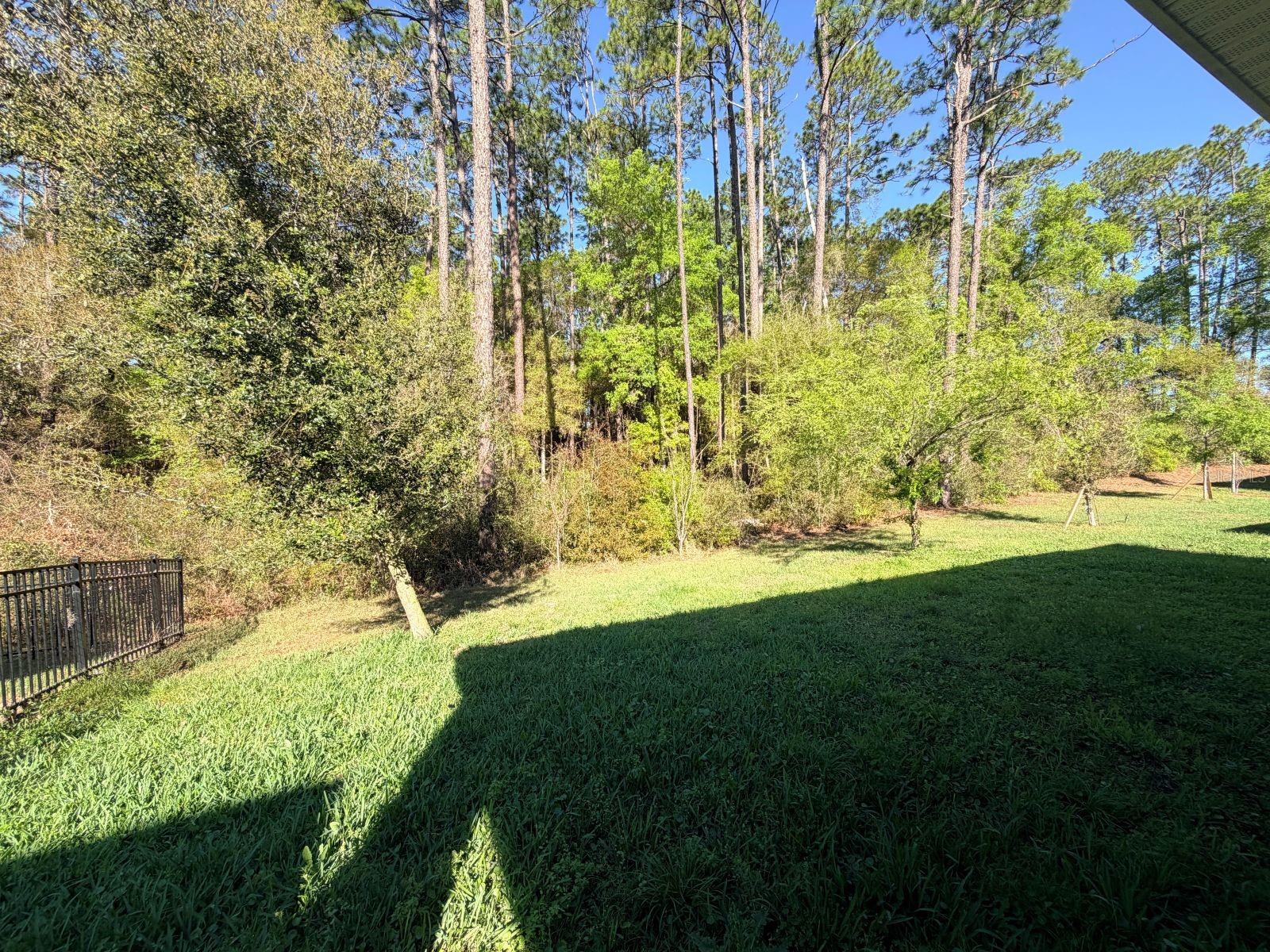 507 Lady Irelyn, Deland, FL 32724