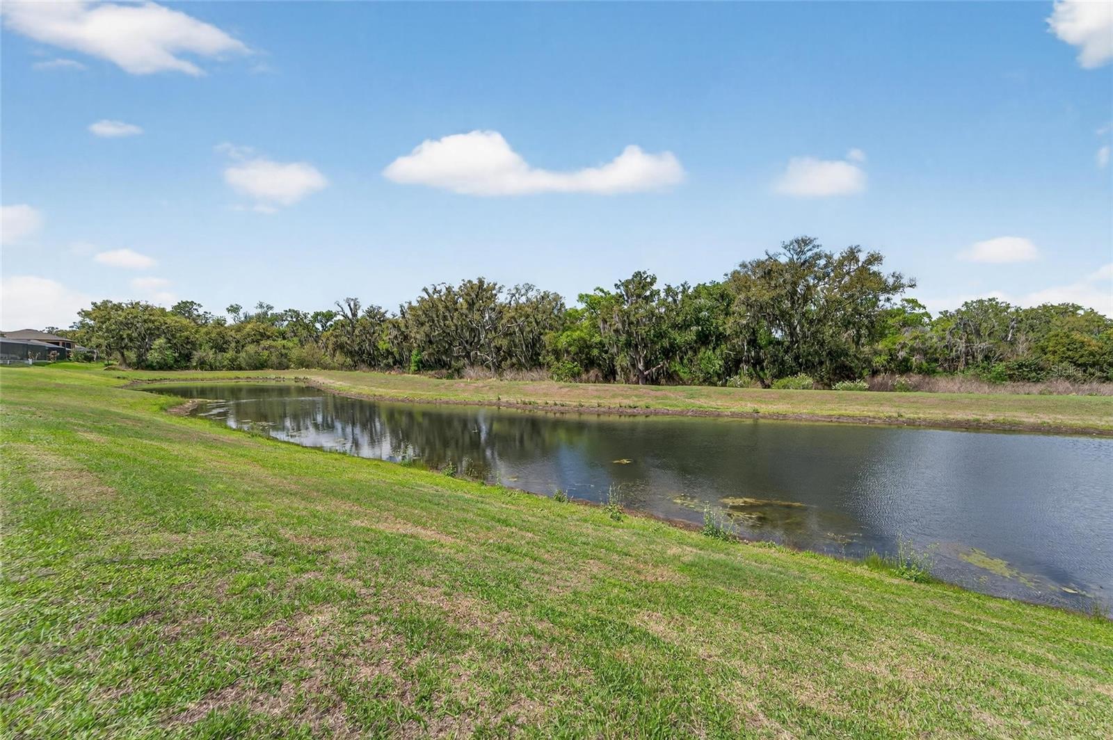 13209 Wildflower Meadow, Riverview, FL 33579
