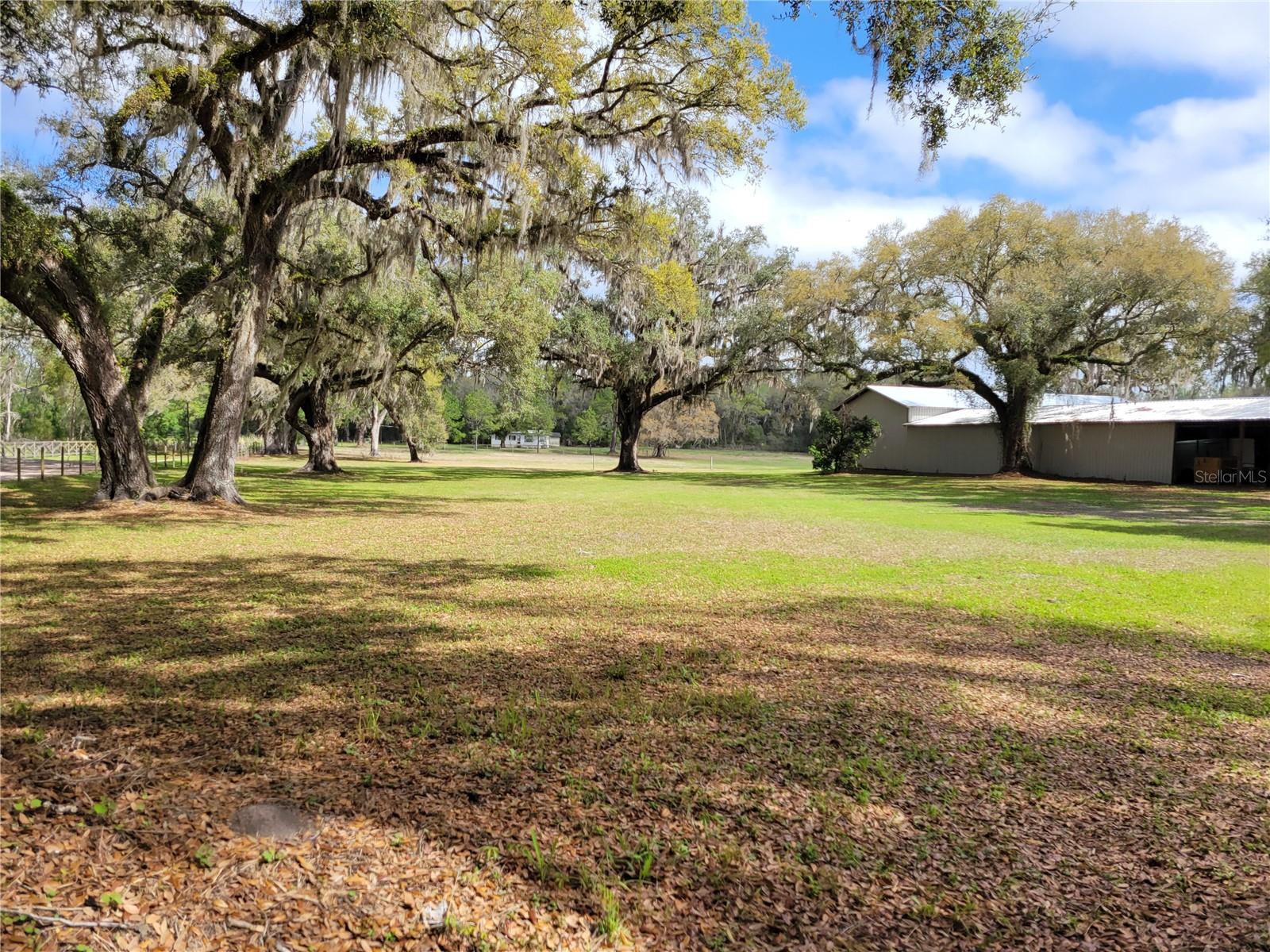 22397 Mondon Hill, Brooksville, FL 34601