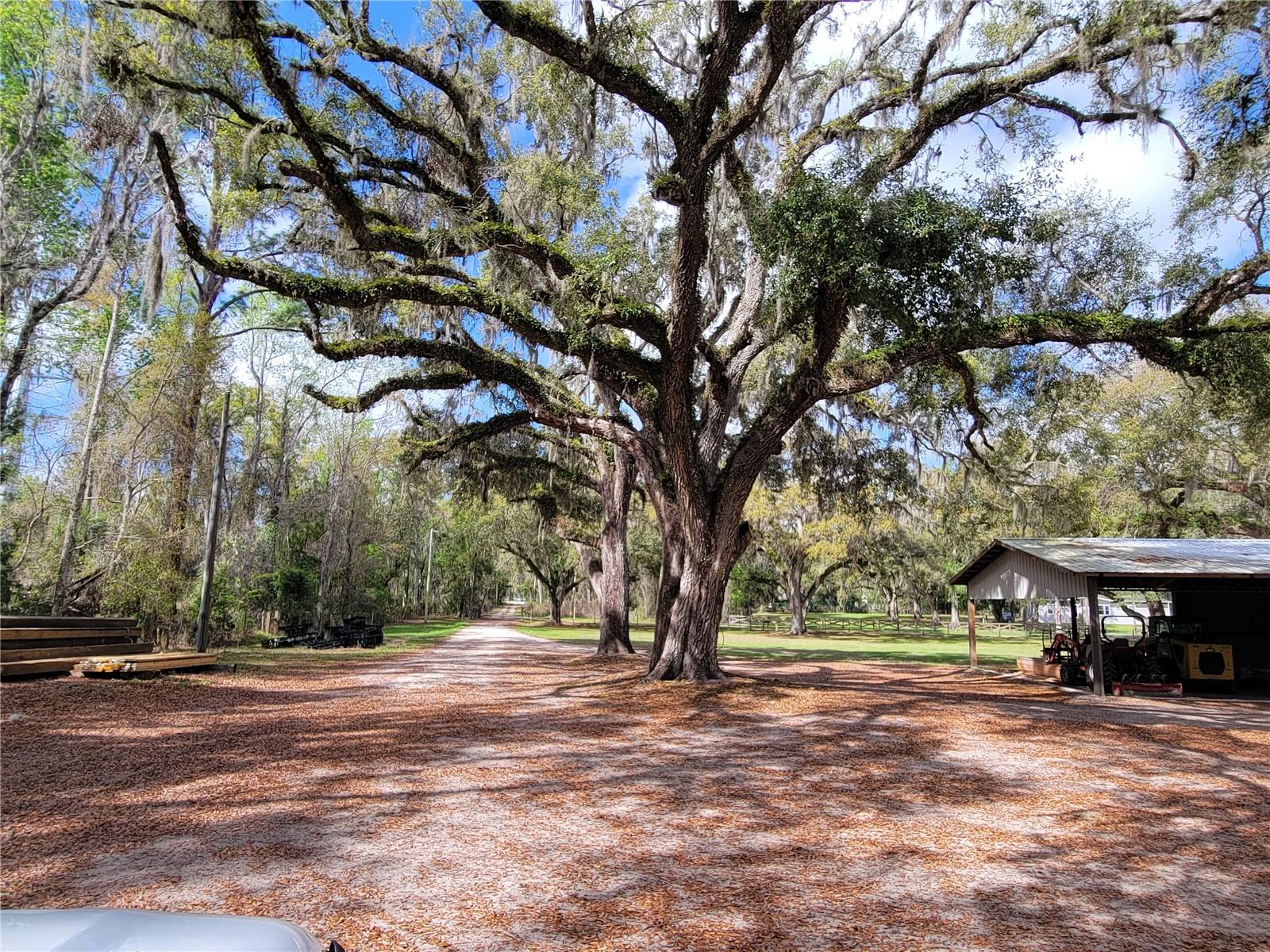 22397 Mondon Hill, Brooksville, FL 34601